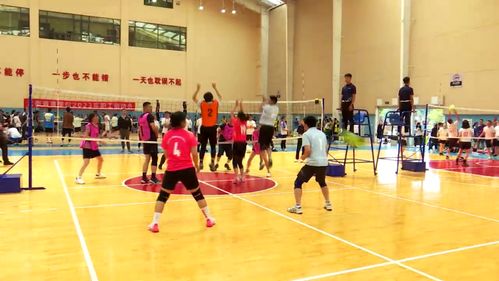 科技賦能，全民健身 免費(fèi)開放引領(lǐng)健康新時(shí)代